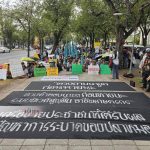 泰国团体政府大楼前倒2吨鱼抗议！呼吁佩通坦解决问题-博彩交流网-博彩论坛-博彩策略网